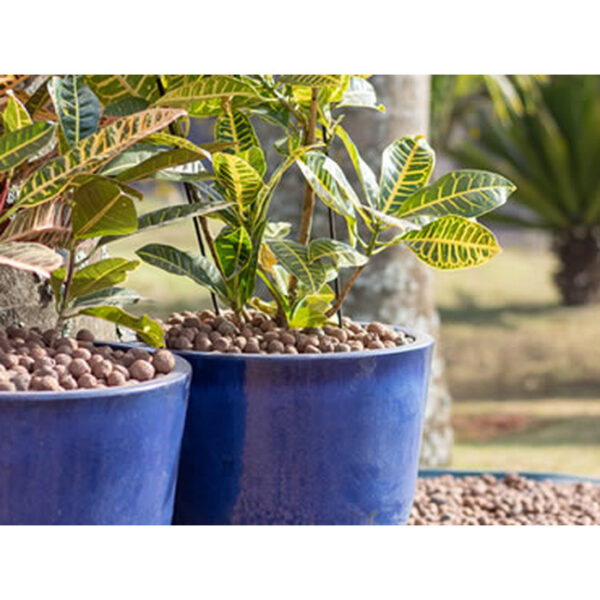 ARGILA EXPANDIDA 3222 SACO 50 LITROS ( 20KG ) - Imagem 3
